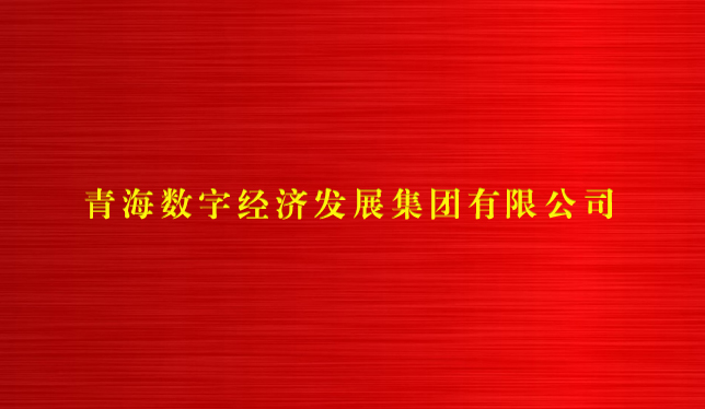 青海數字經濟發(fā)展集團有限公司