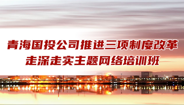 青海國投組織人力資源管理網(wǎng)絡(luò)培訓(xùn)班圓滿結(jié)業(yè)