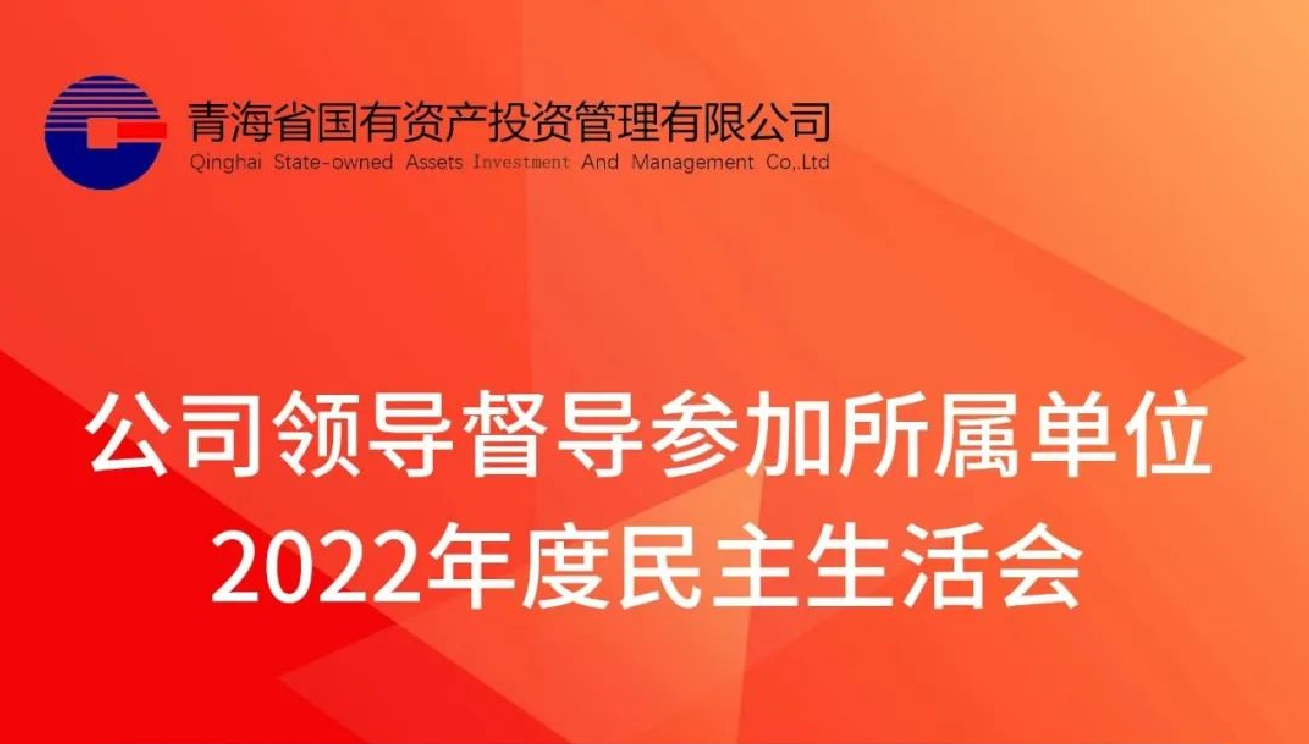 公司領導督導參加所屬單位2022年度民主生活會